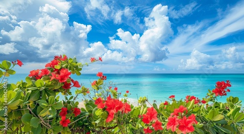 The seaside of a Mediterranean resort town is spectacular, with blue skies with white clouds, a turquoise expanse, waves with foam, and blooming bush on the beach.