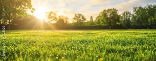 A panoramic natural landscape shows a grass field with green grass, a sky with clouds, and blurry trees in the background. This is a panorama of a summer spring meadow that is filled with flowers.