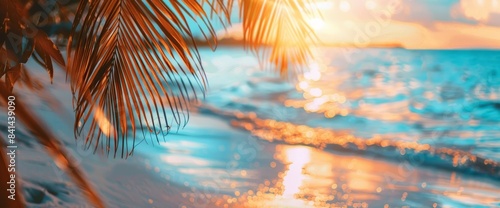 The background is a blurred natural panoramic of a tropical beach at sunset with palm trees and golden sand.