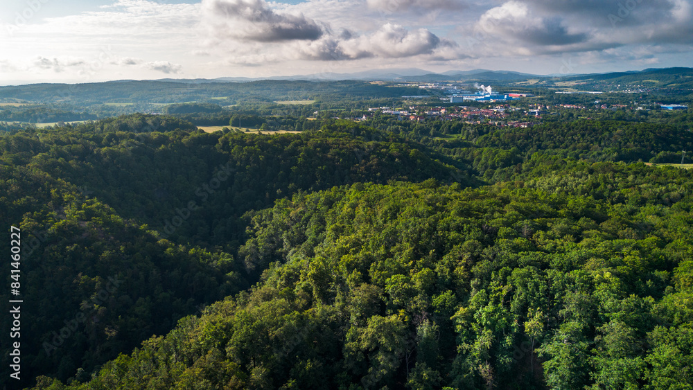 Aerial View of Forest and Town