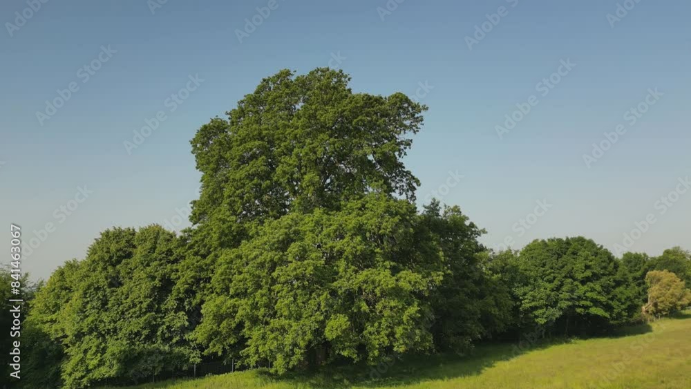 Drone rising high for a view over the Weald of Kent, looking south from the village of Boughton Monchelsea near Maidstone. June, Kent, UK Drone rising high for a view over the Weald of Kent, looking south from the village of Boughton Monchelsea near Maidstone. June, Kent, UK
