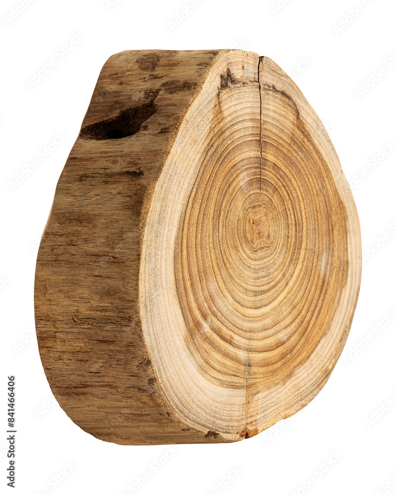 Single chopped wood slice design element Single chopped wood slice design element