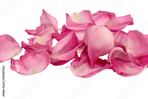 Wallpaper Mural Pink rose petals isolated on transparent background Torontodigital.ca