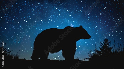 Brown bear silhouette in starry night. Generative Ai © We3 Animal