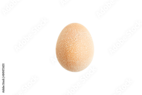 Chicken egg isolated on white background  Raw food  Food ingredient