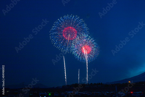 静岡の春の花火