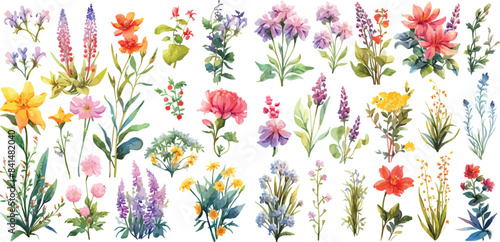 wildflower clipart vector for graphic resources	
