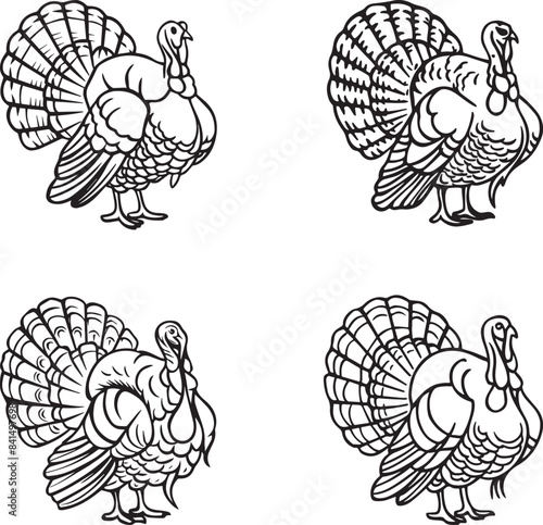 A beautiful image set of Turkey. Art & Illustration