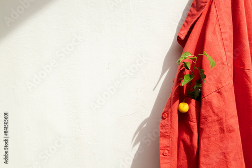 Hanging orange shirt and green branch with yellow plum. Empty space. Concept of reuse clothes and eco friendly produce oof it photo