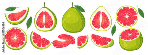 Set of red pomelo.Fresh tropical fruit whole,cut in half,pomelo slices.Vector illustration.