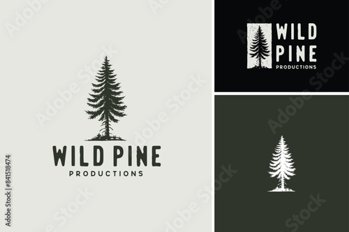 Lone Dry Pine Tree. Rustic single Wild Evergreen Cedar Conifer illustration rustic logo design