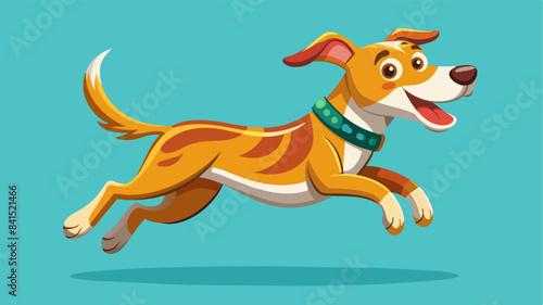 Happy dog jumping, isolated background.