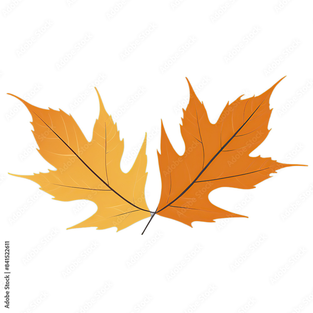 Colorful autumn leaves isolated on transparent background Colorful autumn leaves isolated on transparent background