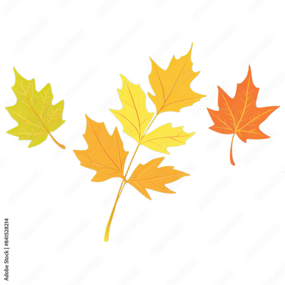 Colorful autumn leaves isolated on transparent background Colorful autumn leaves isolated on transparent background