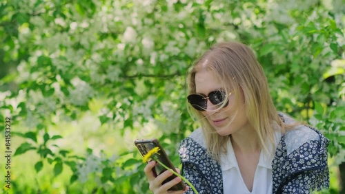 Blonde woman wearing sunglasses using mobile phone messaging while sitting on the green grass among blooming trees in the park. Romantic young girl enjoying online chat in the summer garden. photo