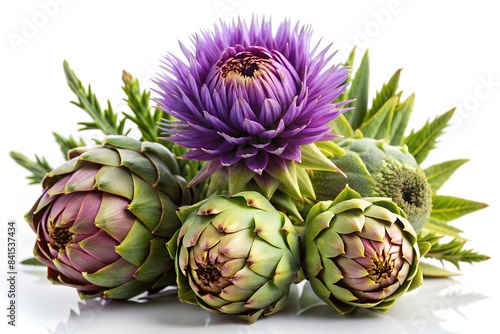 Kombination aus Mariendistel und Artischocken zur Unterstützung der Leber und Verdauung - Bessere Gesundheit bei Problemen und Fettleber