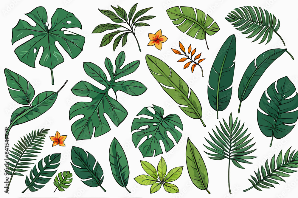 a bunch of green leaves and flowers on a white background a bunch of green leaves and flowers on a white background