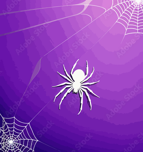a spider on a web on a purple background