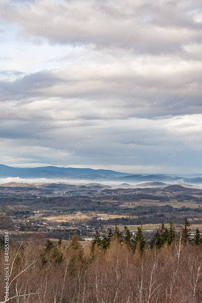 mountain and forrest mountain and forrest