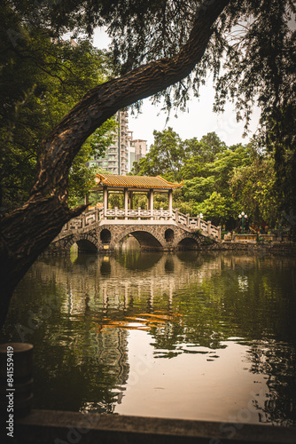 tree garden in china
