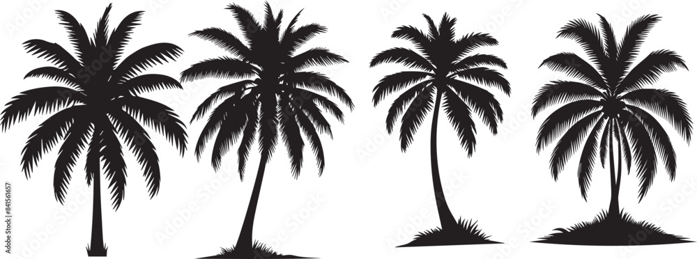 Obraz premium silhouette of tree vector