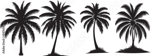 silhouette of tree vector