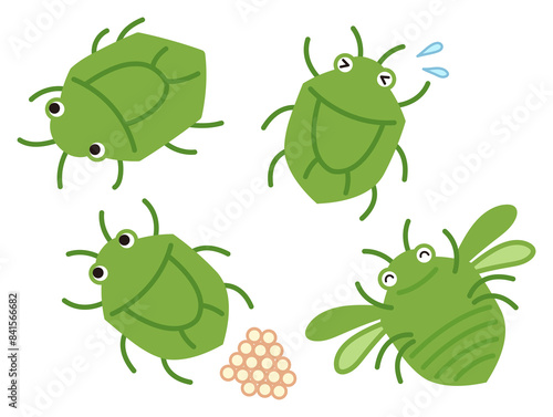 カメムシのイラスト