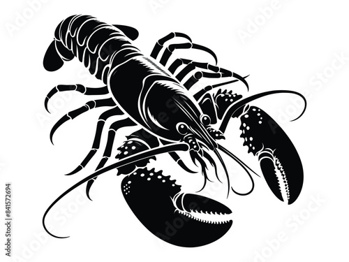 lobster illustration