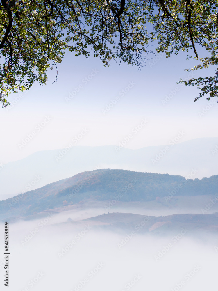 serene minimal landscape, hill in mist and branches serene minimal landscape, hill in mist and branches