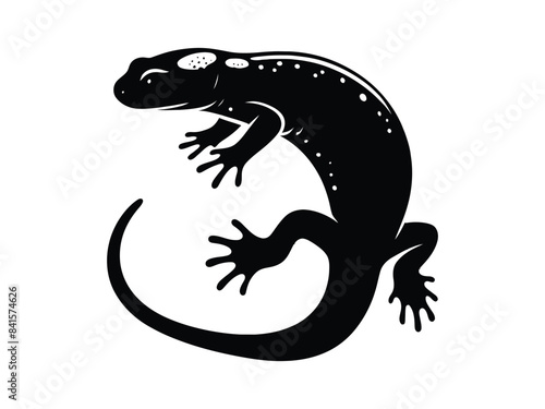 lizard isolated on white