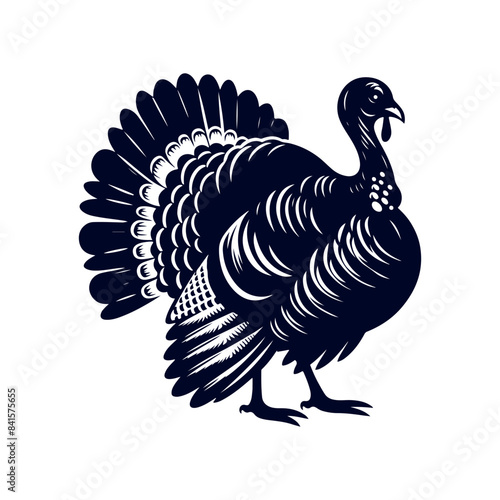 Turkey silhouette Clip art isolated vector illustration on white background