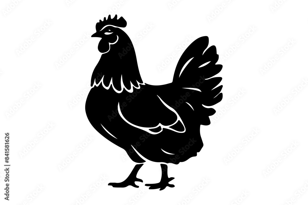 A vector silhouette of a hen. A vector silhouette of a hen.