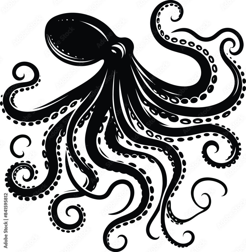 illustration of a tattoo illustration of a tattoo