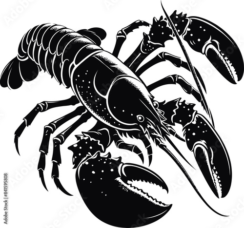 lobster illustration