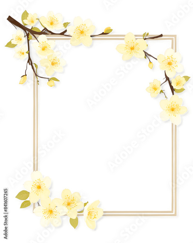 Yellow sakura branches on a rectangular frame isolated on transparent background