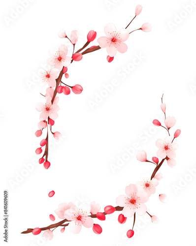 Cherry blossom branch illustration isolated on transparent background, PNG, Vector
