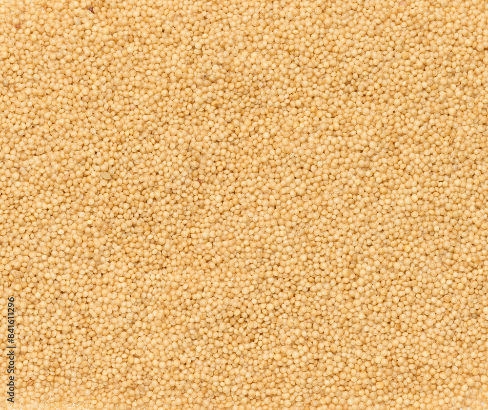 Amaranth seeds scattered, full frame Amaranth seeds scattered, full frame