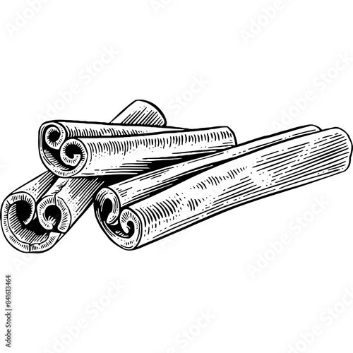 Hand drawn Cinnamon Sticks Sketch Illustration