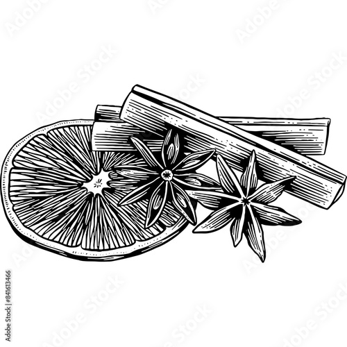 Hand drawn Cinnamon Sticks Orange Star Anise Sketch Illustration