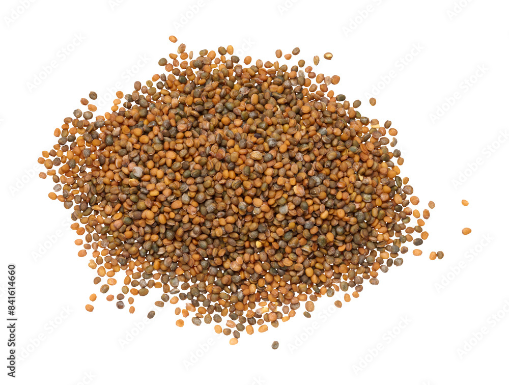 Bunch of arugula seeds for planting on isolated background Bunch of arugula seeds for planting on isolated background