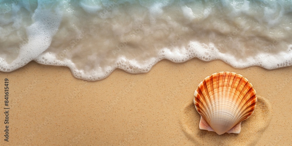 Seashell on sandy beach. Summer travel and marine life concept. Design for poster, wallpaper, summer vacation banner with copy space. Seashell on sandy beach. Summer travel and marine life concept. Design for poster, wallpaper, summer vacation banner with copy space.