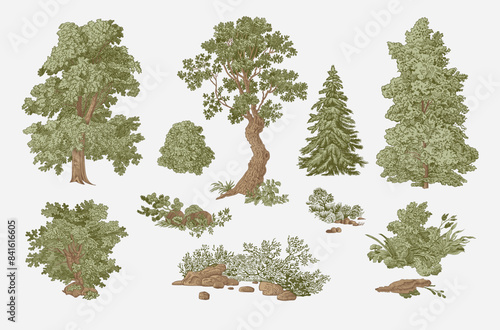 Set of trees and bushes. Landscape elements. Vector vintage illustration.