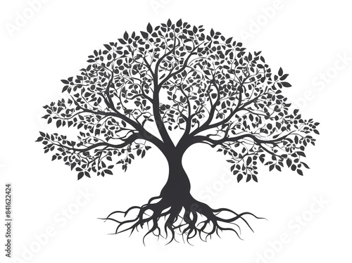 Silhouette of tree and roots black. transparent background