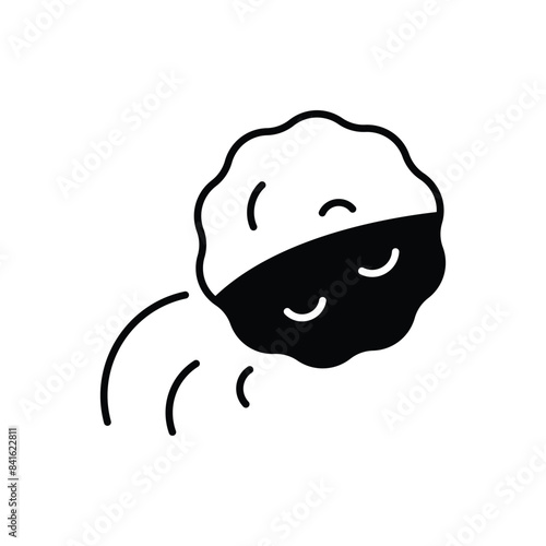 Snow Ball vector icon