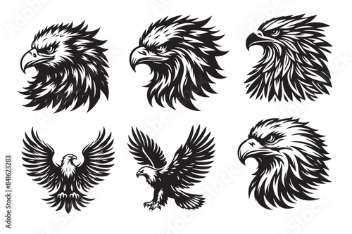 Eagle silhouette vector illustration.eps