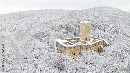 Lipowiec castle in winter in a snowy landscape photo