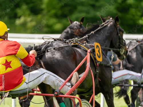 Foto trotter horse race on the track