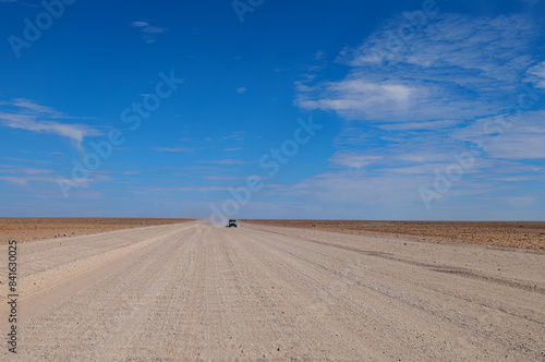 wilderness of the Namib desert, Namibia Africa 