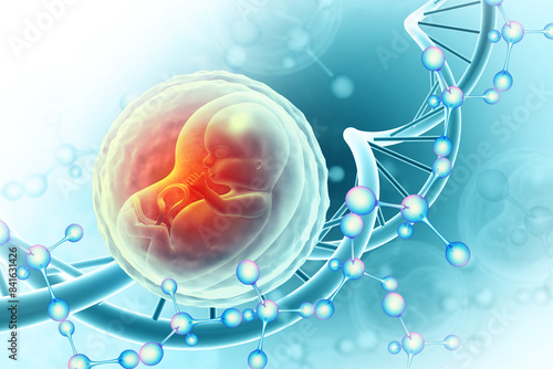Fotografie Fetus with dna on scientific background. 3d illustration