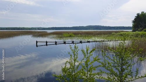 A peaceful view of a lake with clear, calm waters reflecting the sky and clouds, surrounded by reeds and distant trees under a soft, bright sky photo